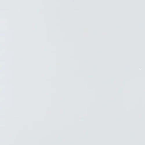 spc-plaat-wit.webp